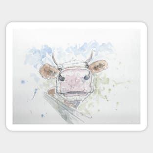 Curious Cow illustration Sticker